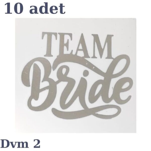 DÖVME TEAM BRİDE GÜMÜŞ NO:2 10 LU