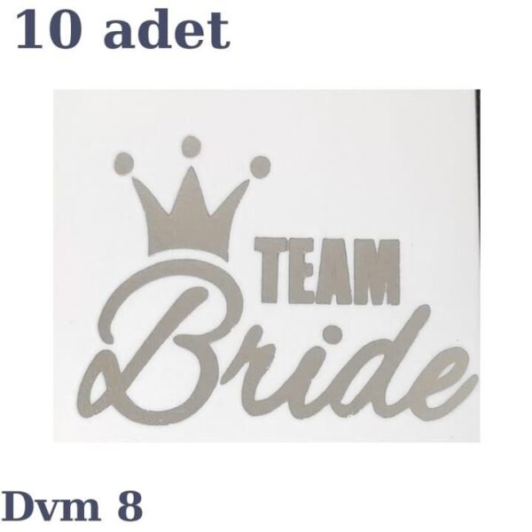 DÖVME TEAM BRİDE GÜMÜŞ NO:8 10 LU