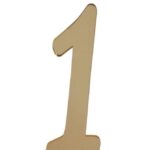 PLEKSİ 20 Lİ RAKAM ALTIN NO:1